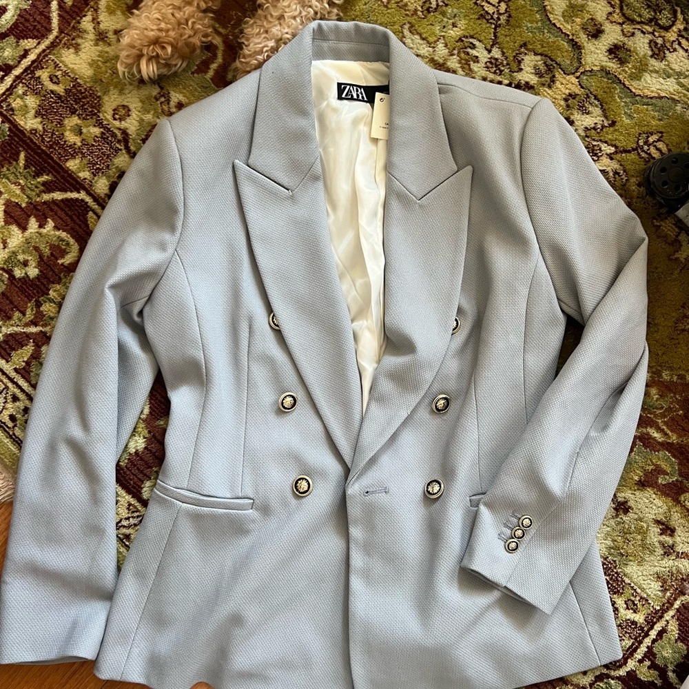Zara Double-Breasted Blazer in Light Gray